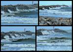 (01) jetty montage (day 3).jpg    (1000x720)    361 KB                              click to see enlarged picture